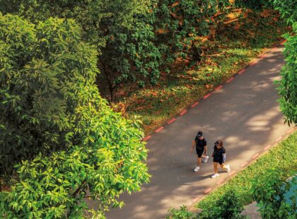 skyterraceatdawson singapore green vision silverkris