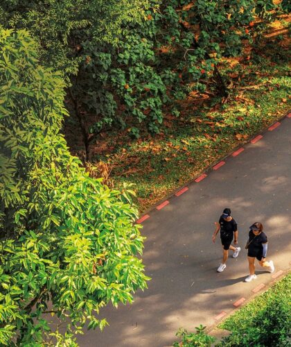 skyterraceatdawson singapore green vision silverkris