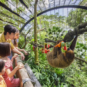 Family interacting with animals during a visit to Mandai Wildlife Reserve