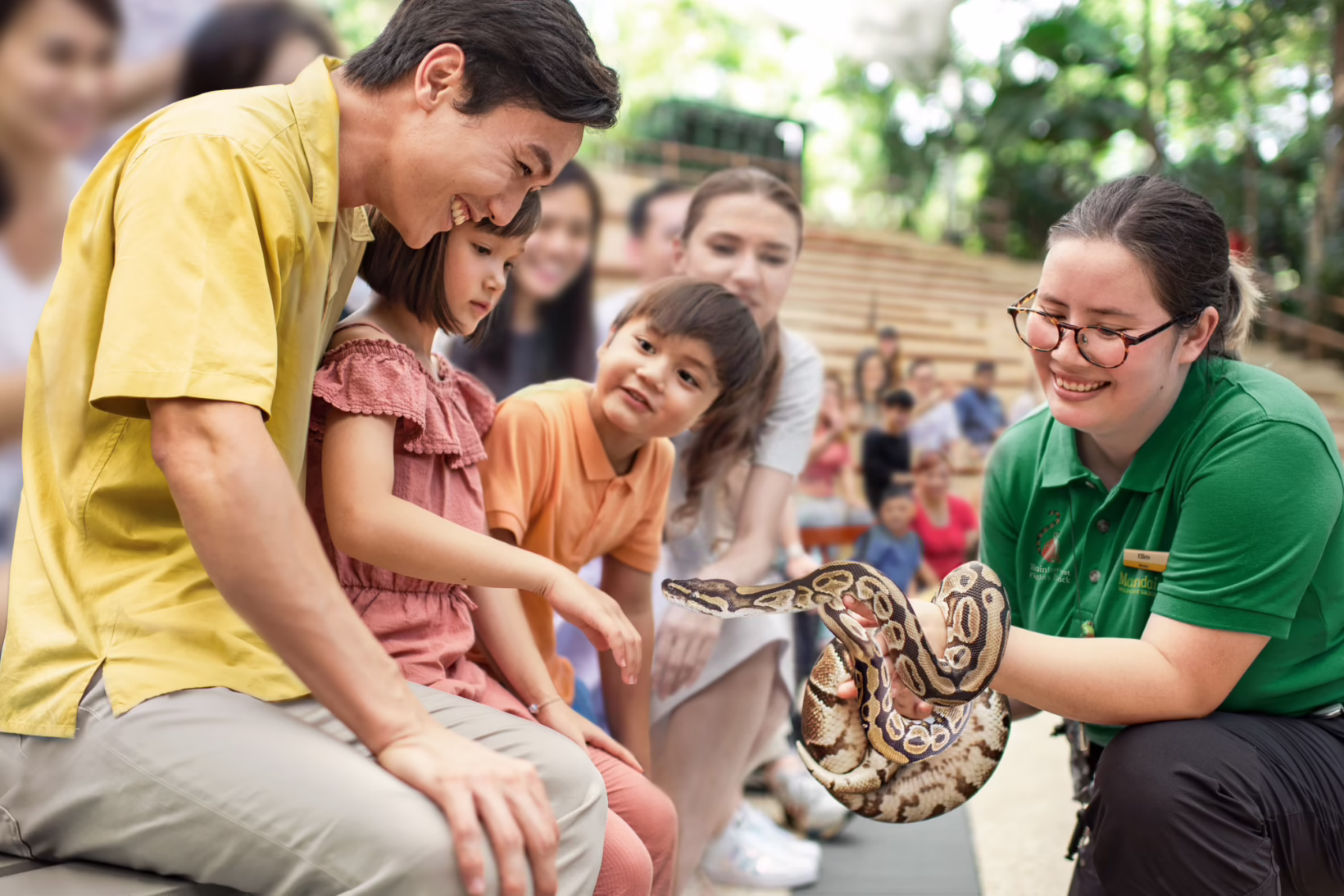 Young girl touching a snake held by a zookeeper while her father watches during a visit to Mandai Wildlife Reserve