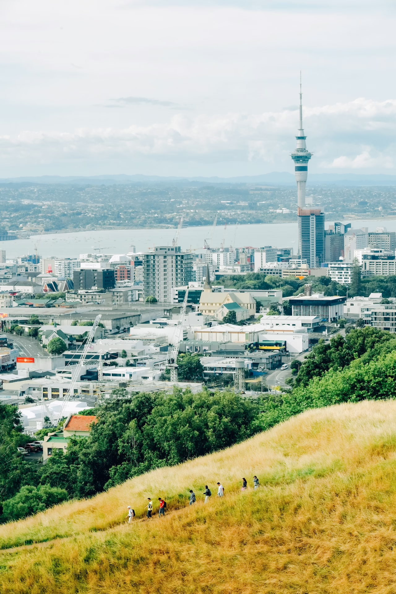 auckland five senses pexels-chente8888-16994355-edit