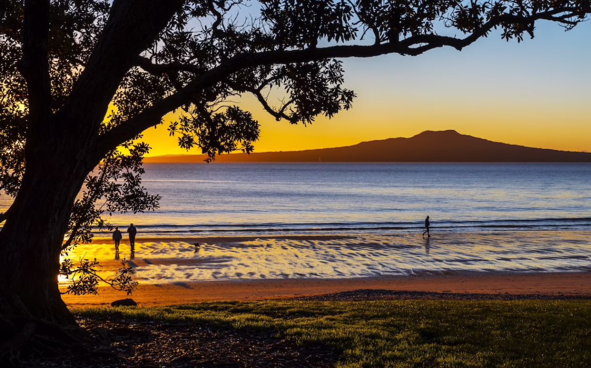 auckland-five-senses-shutterstock