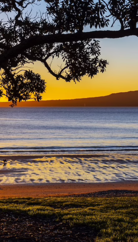 auckland-five-senses-shutterstock