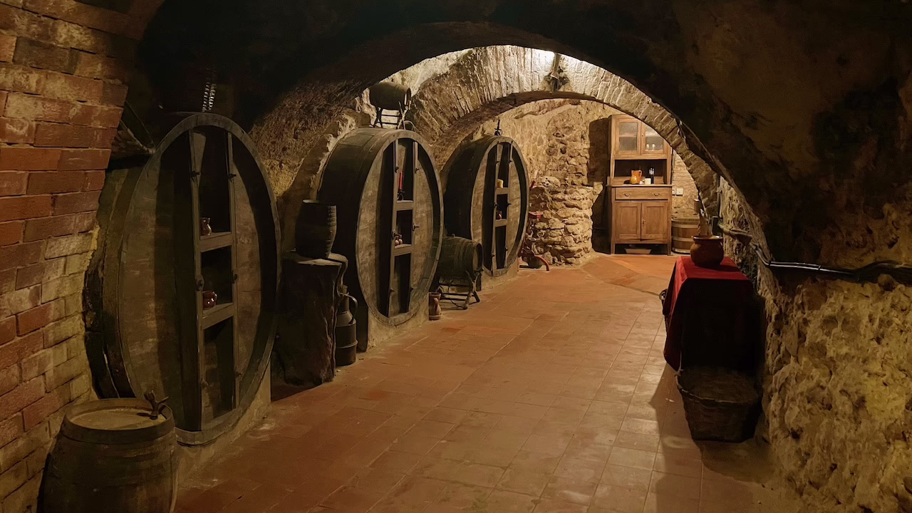 Underground wine cellar of Don Carlos Winery