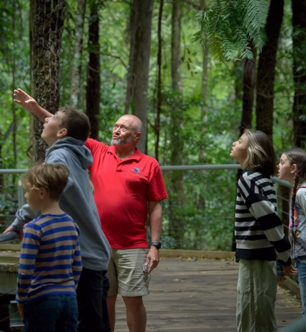 Blue Mountains tour by Scenic World