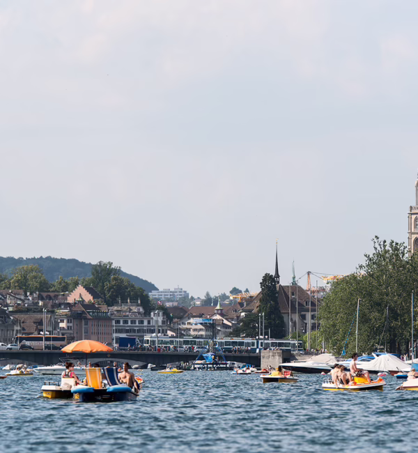 Lake Zurich's scenic cruise.