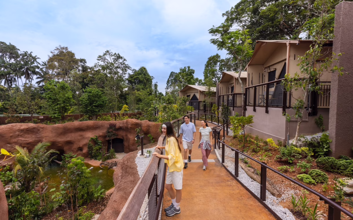 Mandai Wildlife Reserve's Crocodile Lodge