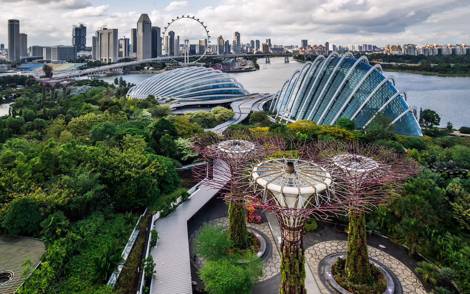 Supertrees and lush greenery at Gardens by the Bay in Singapore