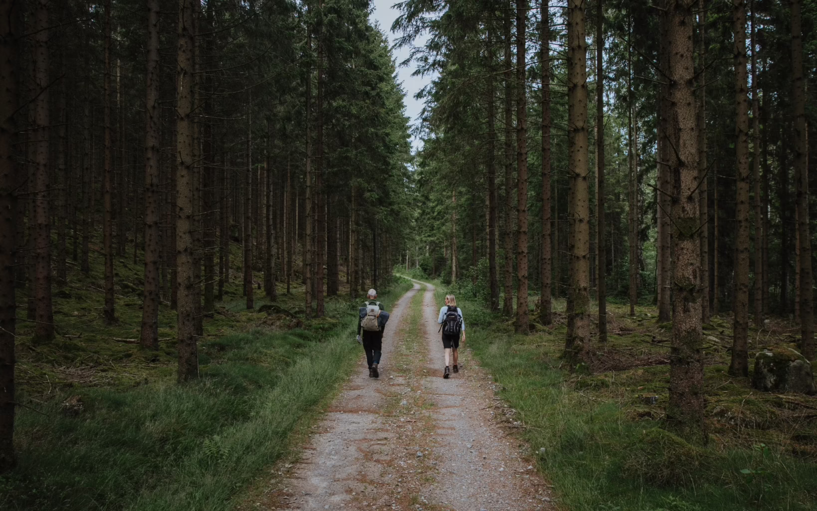 Hiking in Halland, Sweden