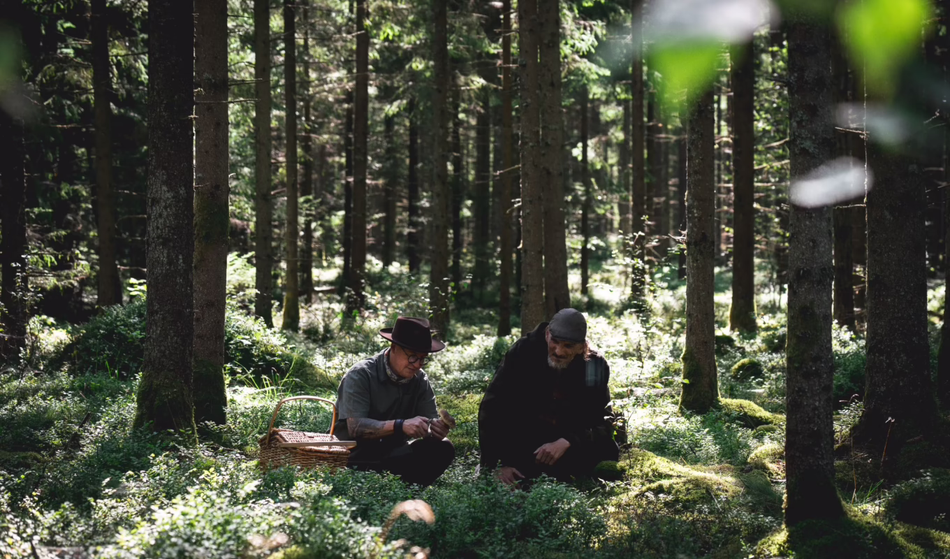 Knystaforsen's Nicolai with forager John Bolin