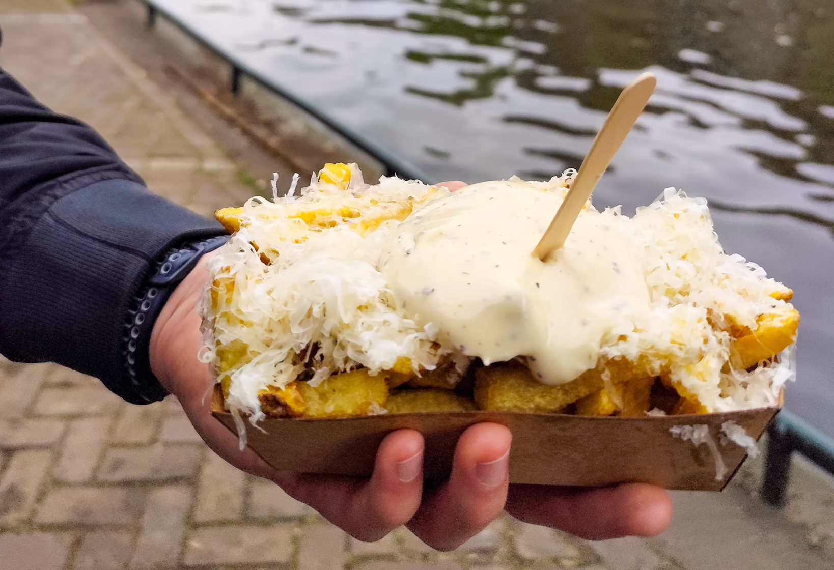 Dutch friet topped with Parmesan and truffle mayonnaise at Fabel Friet in Amsterdam