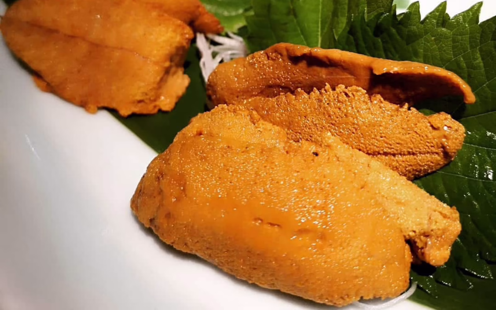 Fresh uni served at Hanare Kuala Lumpur