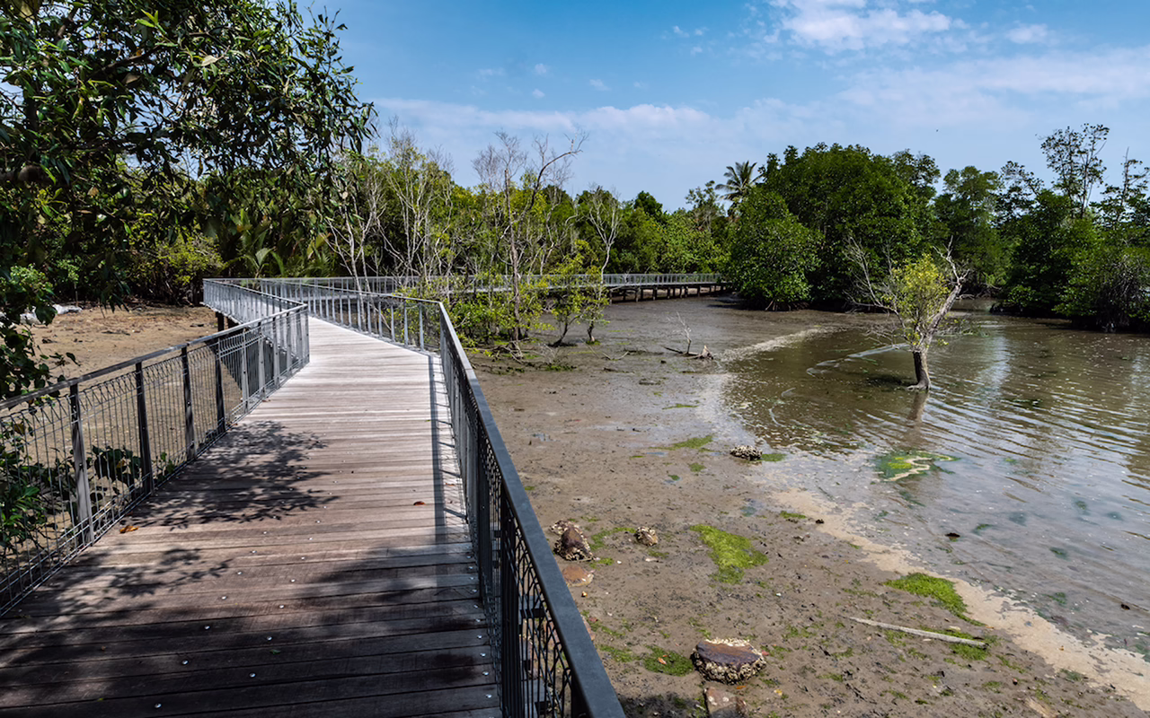 Chek Jawa Wetlands boardwalk winding through coastal greenery on Pulau Ubin, Singapore