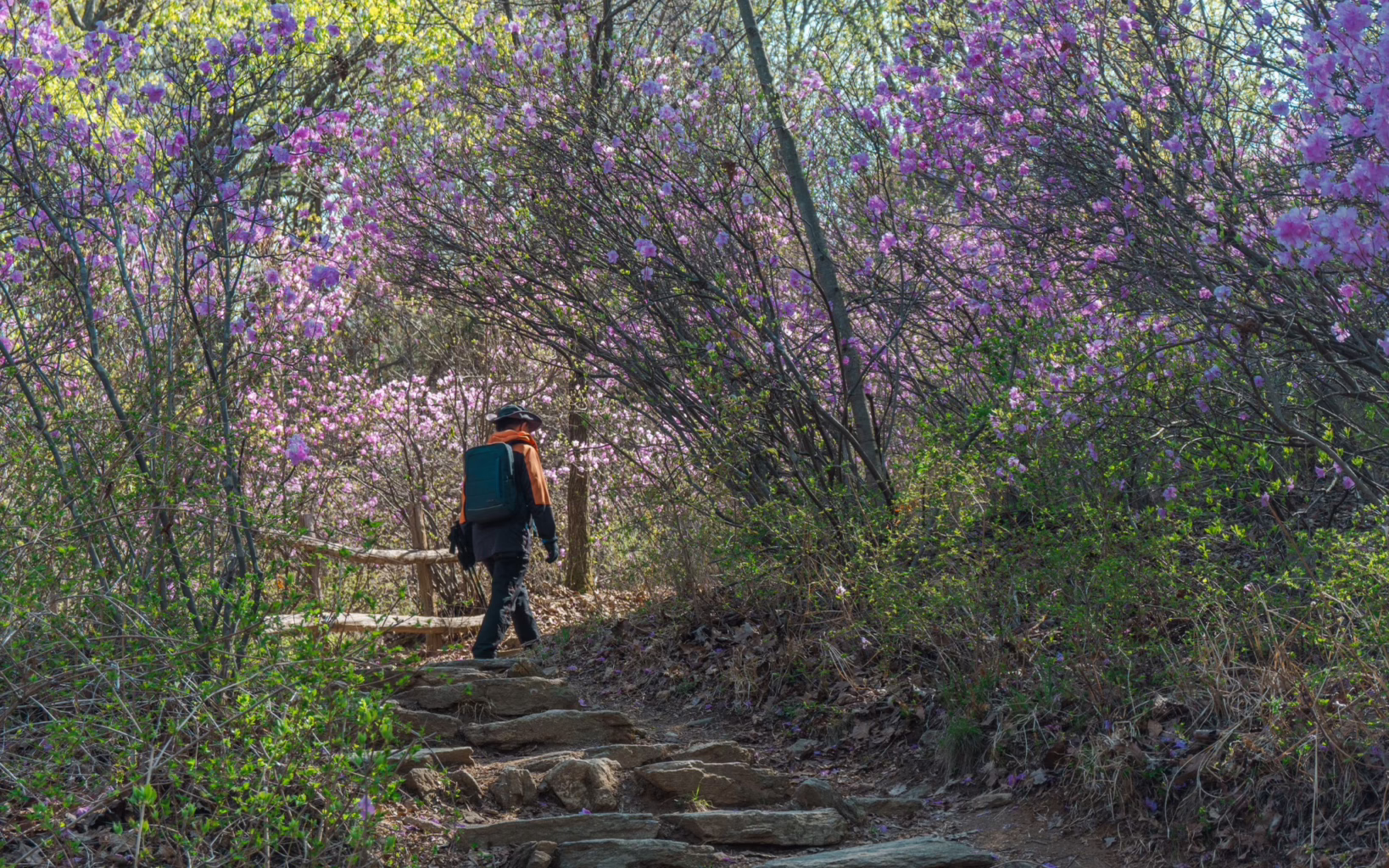 Hiking trails in Seoul, Cheonggyesan